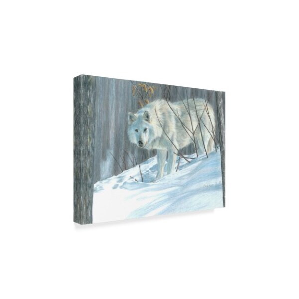 Carla Kurt 'Winter Wolf In Landscape' Canvas Art,18x24